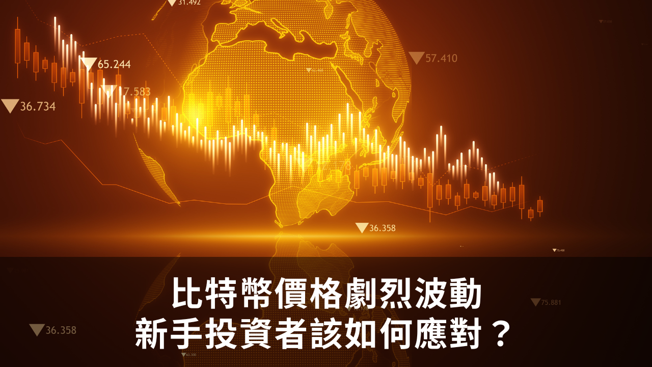 比特幣價格劇烈波動新手投資者該如何應對？
